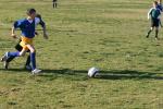 C-Elephants  0037_resize